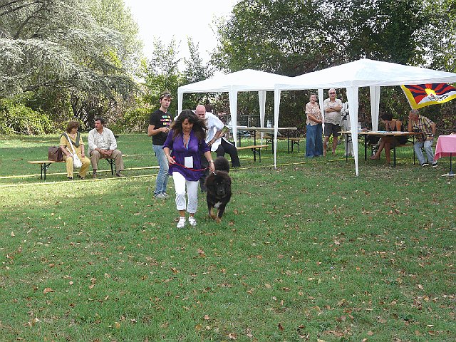 img 079.jpg